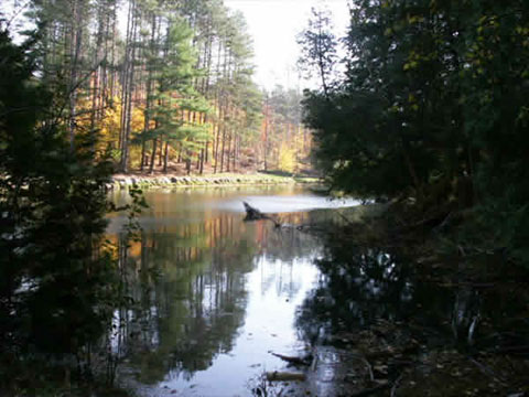 Oak Ridges Ecology Area